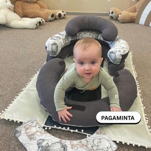 Sėdinukas Transformeris | Drambliukas