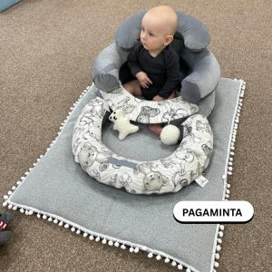 Sėdinukas Transformeris | Sidabriniai drambliukai