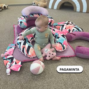 Sėdinukas Transformeris su maitinimo ir miego pagalve | Flamingai