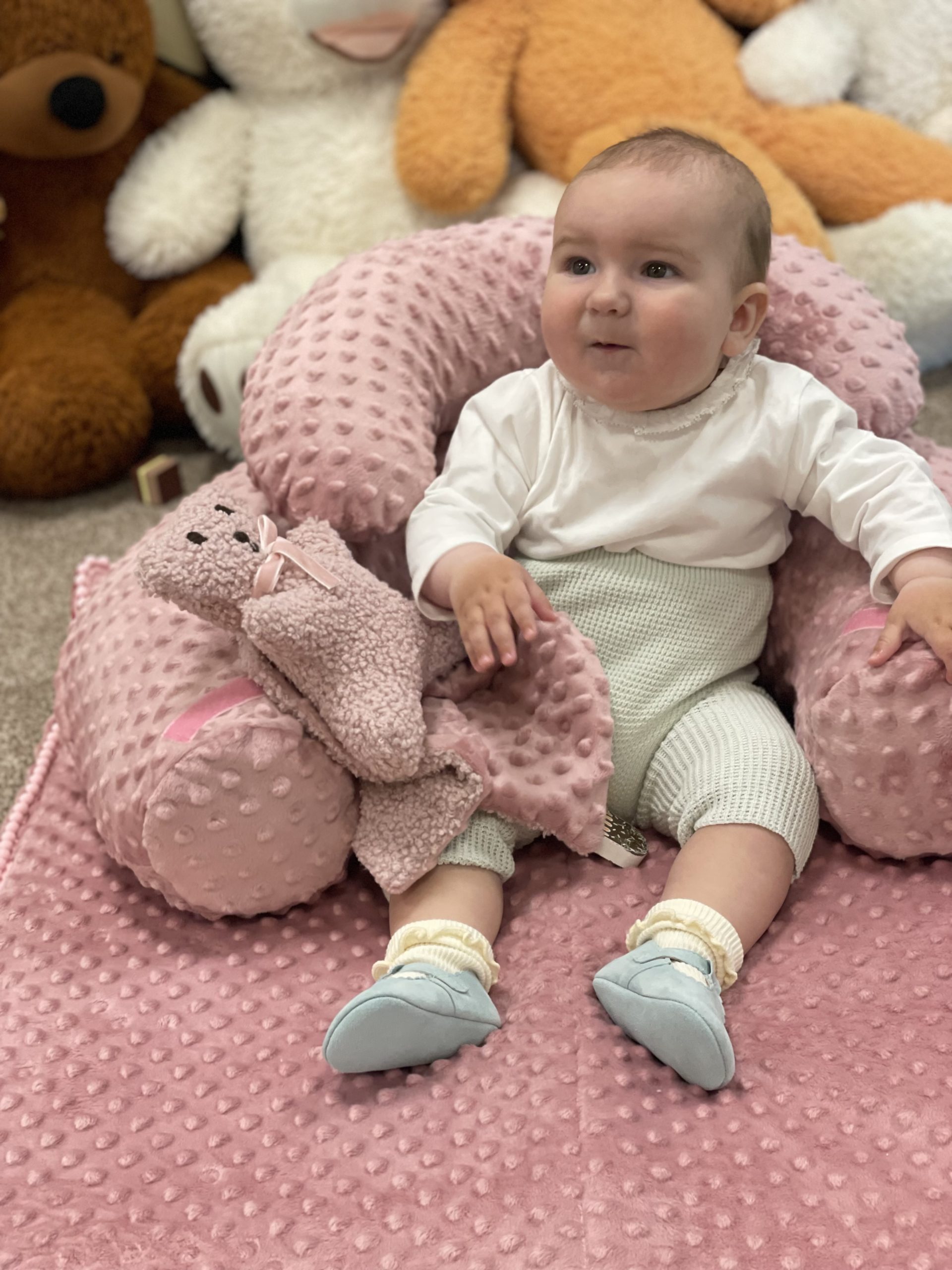 Sėdinukas Komfortas | Minky rožinis - Image 10